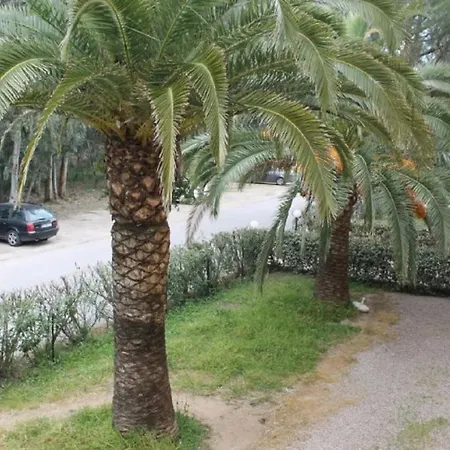 T2 Entierement équipé à 150m De La Plage. Apartamento Calvi (Corsica)