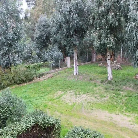 T2 Entierement Equipe A 150m De La Plage. Apartment Calvi (Corsica)