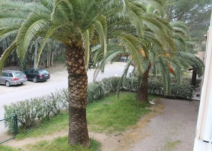 T2 Entierement équipé à 150m De La Plage. Apartamento Calvi (Corsica)