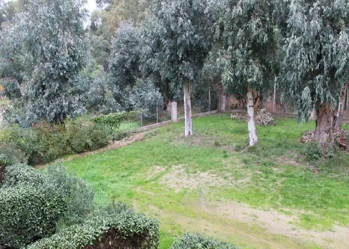 T2 Entierement Equipe A 150m De La Plage. Apartment Calvi (Corsica)